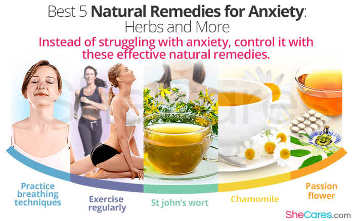 How to use herbal remedies for stress relief