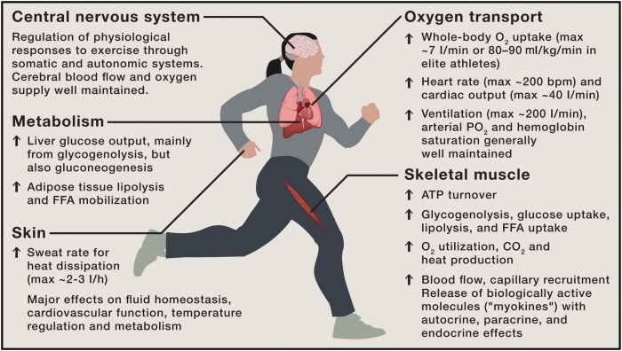 Benefits of aerobic exercise for lowering heart rate