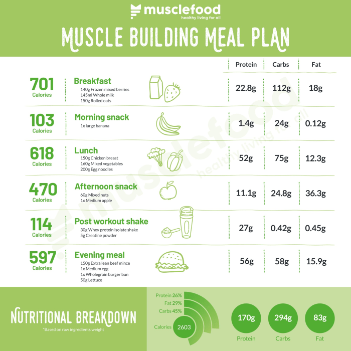 How to design a workout plan for muscle mass gain